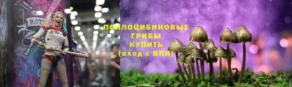 PSILOCYBIN Беломорск